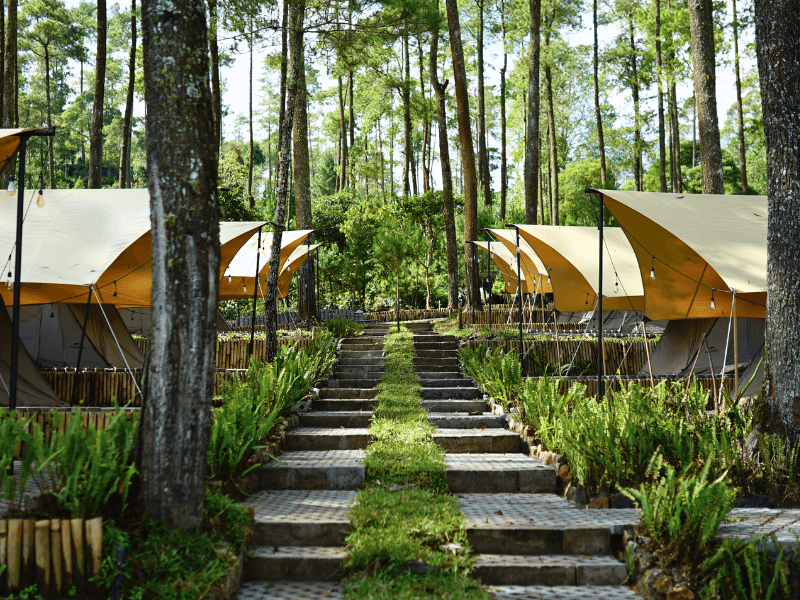 Suasana Tenang di Jalur Menuju Tenda